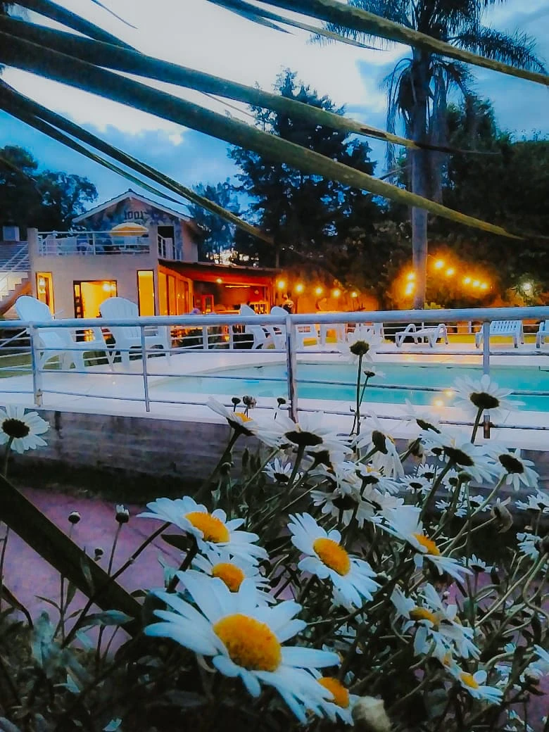 IMG-20240702-WA0062_resultado