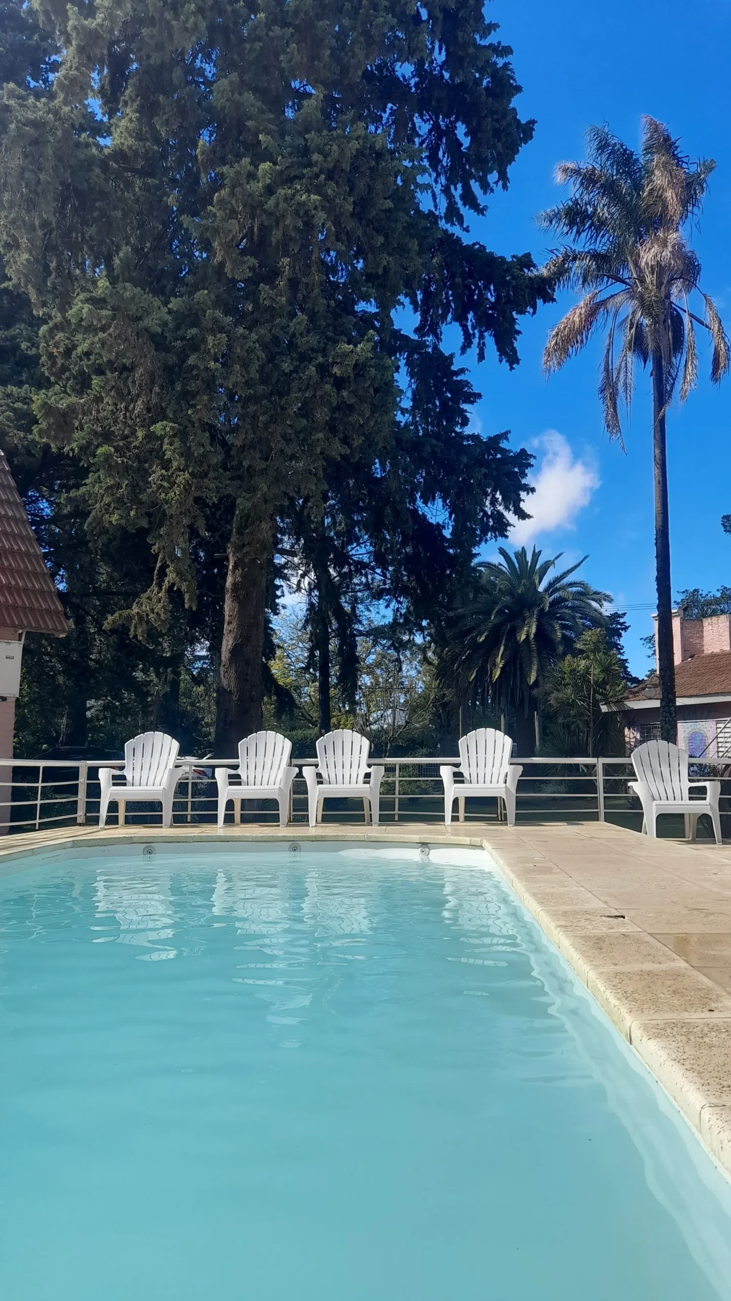 IMG-20240702-WA0076_resultado