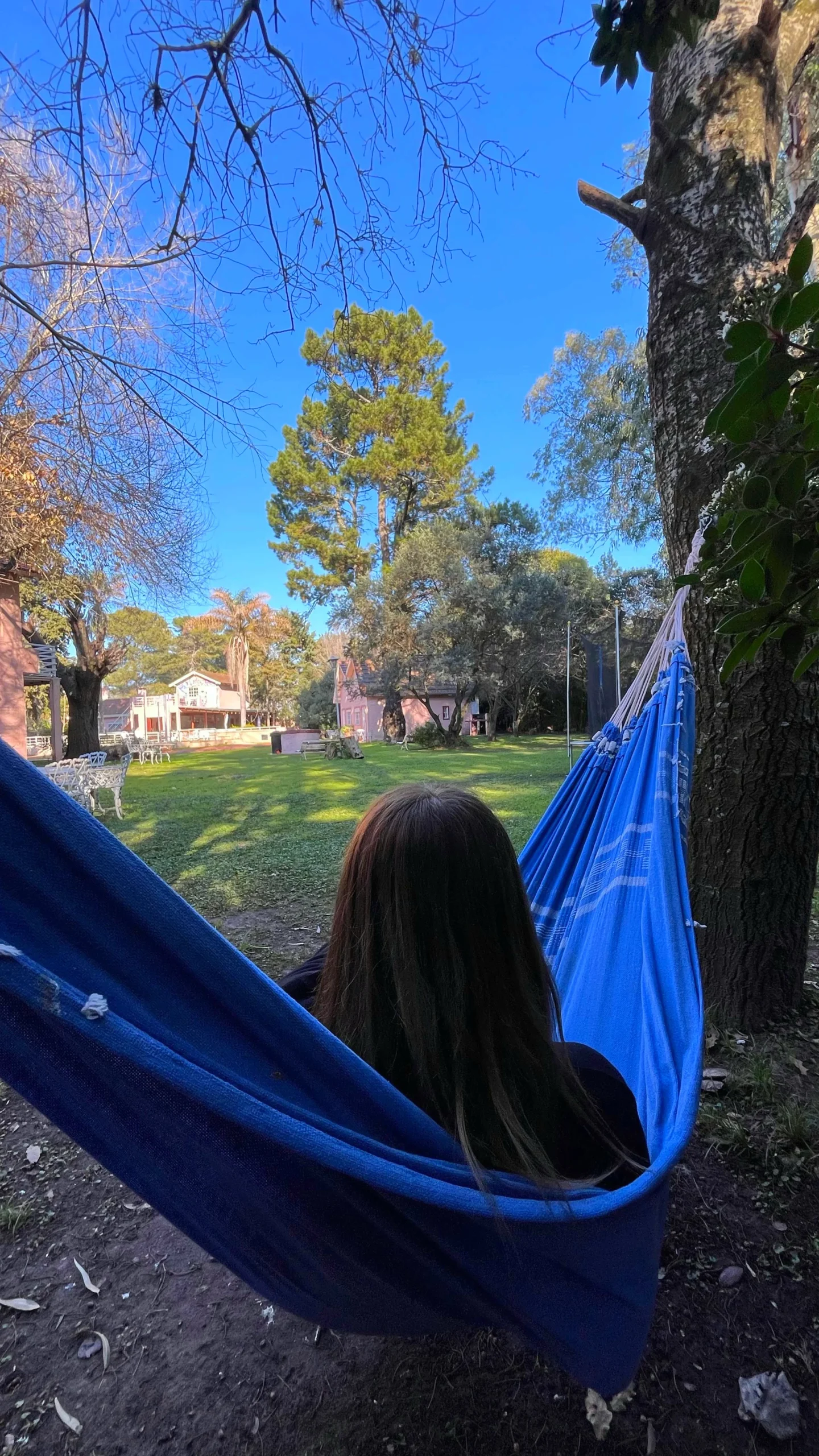 IMG-20240711-WA0223_resultado