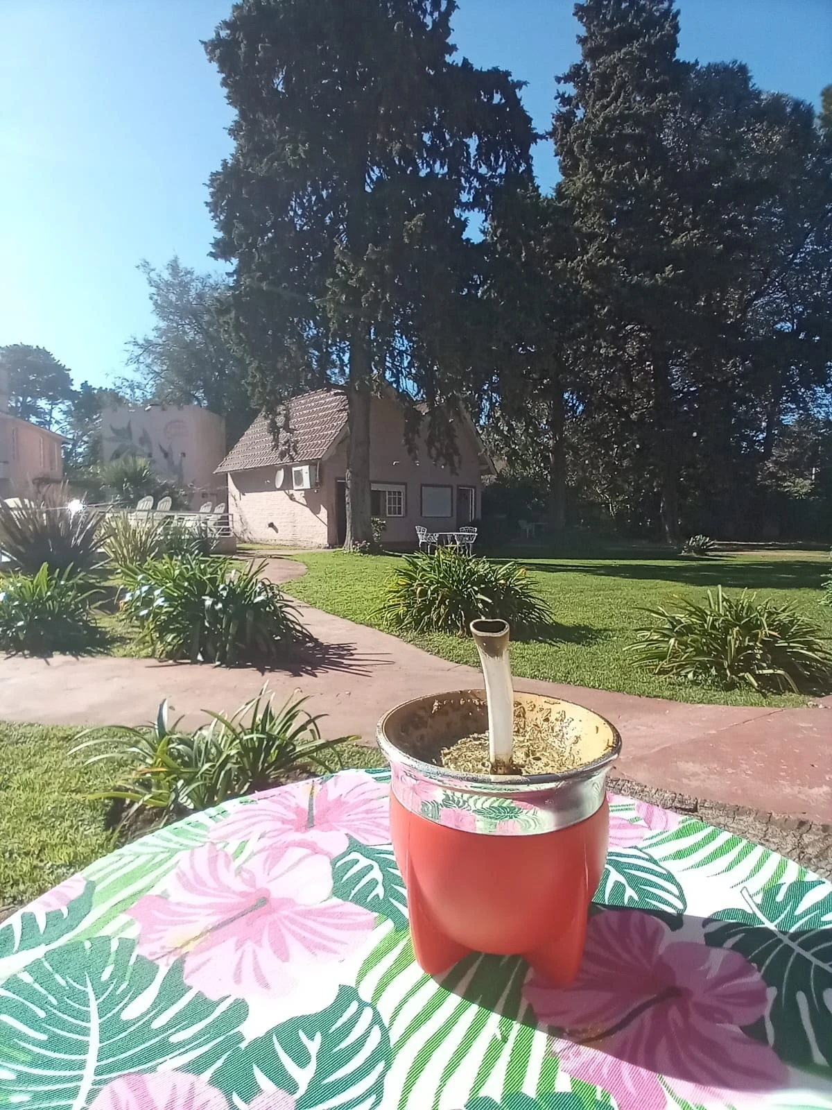 IMG-20250525-WA0008_resultado