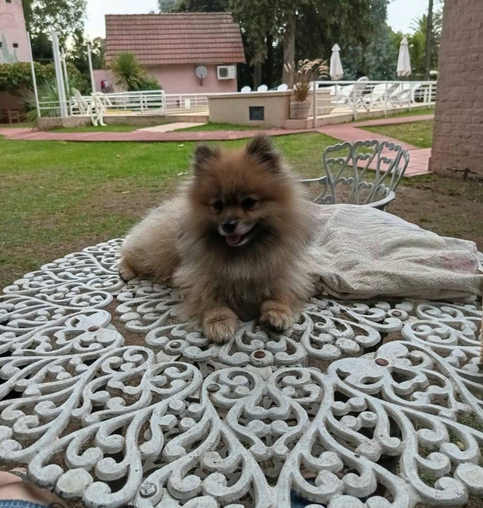 Imagen 12 pc_resultado