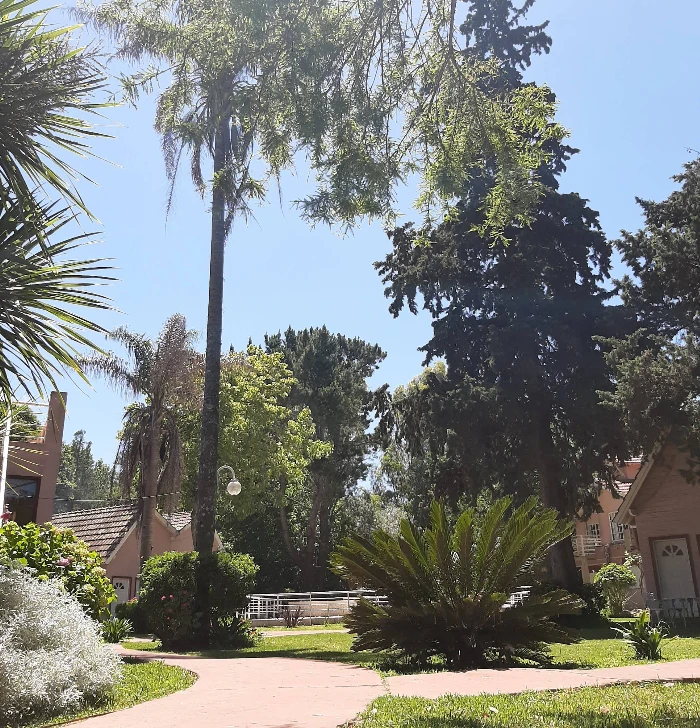 Imagen 13pc_resultado