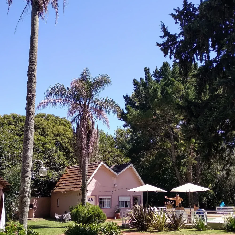 20250213_113323~2_resultado